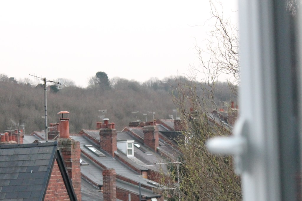 Trouble with the&nbsp;neighbours